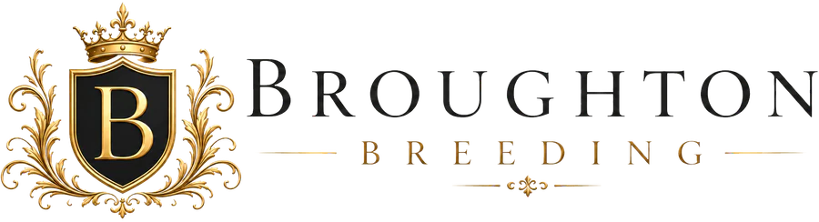 Broughton Breeding
